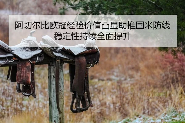 阿切尔比欧冠经验价值凸显助推国米防线稳定性持续全面提升
